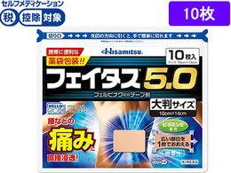 ����)�v������ �t�F�C�^�X5.0 �唻�T�C�Y 10��