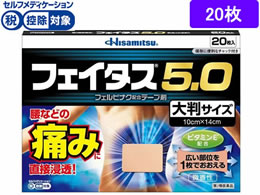 ����)�v������ �t�F�C�^�X5.0 �唻�T�C�Y 20��