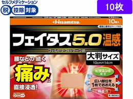 ����)�v������ �t�F�C�^�X5.0���� �唻�T�C�Y 10��