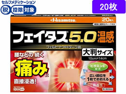 ����)�v������ �t�F�C�^�X5.0���� �唻�T�C�Y 20��