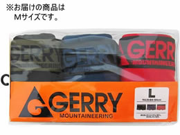 ~^jR[|[V GR G20ZMB{NT[3g(90IA\[g) 190951