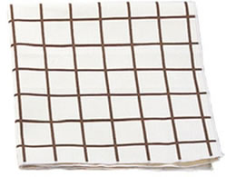 EBM �L�����p�X���� �`�F�b�N�i�v�L�� �u���E�� 450�~450