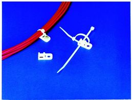 w}^Cg CVbN AJ[}Eg (100) CTAM1