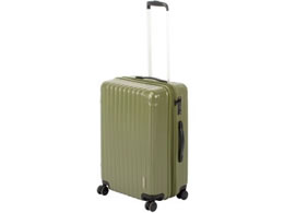 p[ LveX^bO X[cP[X(TSAbNWF) M I[u