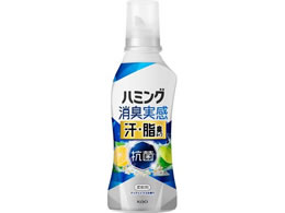 KAO n~O L EL^Cv NAVgX { 500mL