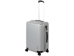 p[ LveX^bO X[cP[X(TSAbNWF) M Vo[