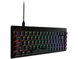 GR Q[~OL[{[h Vcustom L TK-VK300SBK