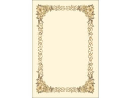 TTK m܏p ͂ cp 10 10-247