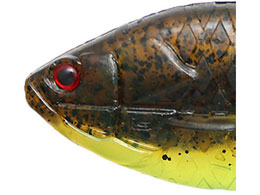 issei Mtbg Jr.(c[g) #10 Op^`[g