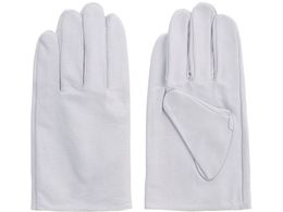 �x�m�O���[�u/�؃N���X�g