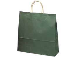 ^J 񂰃obO Gh  10 50-6208