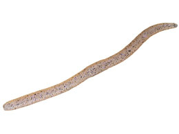 �W���b�J�� �t���b�N�V�F�C�N5.8 #�X�W�G�r