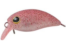 WbJ TM уpjN DR #V{Nbhu[