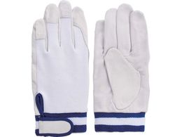 �x�m�O���[�u/�ؖ{�v��� EX-234