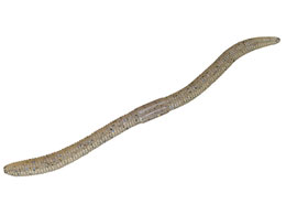 �W���b�J�� �t���b�N�V�F�C�N5.8 #�e�i�K�u���[�t���[�N