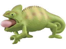 ^Jg~[ AjA AS-28 JI(G{VJI)