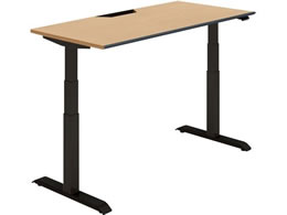 �R�N�� �f�X�N �V�[�N�G���X �����\�t�g ���o�[ W1450 �i�`�������I�[�N