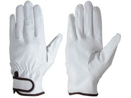 �V����/�؊v��܃}�W�b�N�� PL717