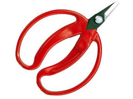 AXR[|[V ݂̎  ܓ 420