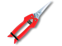 AXR[|[V ֐nK[fjO SE-45