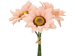  ~jTt[sbN s[`sN #2 PE PK FM004009-002