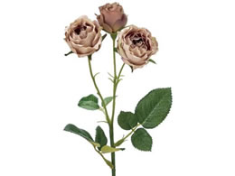  ReCO v}fB[Y #18 CC MV FM300292-018