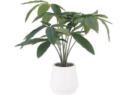 sf tFCNO[ pL Z~bN|bg 41128