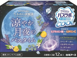 �����A�[�X HERS�o�X���{�N�[�� �����J����̃o�X�^�C�� 12�� 4���