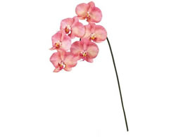   ~JGt@mvVX s[`sN #6 PE.PK