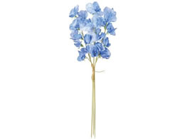   WfBXCgs[oh u[ #5 BLUE