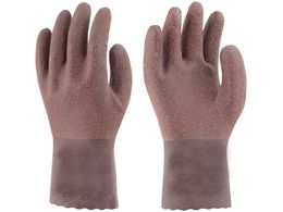 �g������/�V�R�S����� �W���u�X�^�[