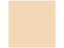 X}[go[ PF肪 x[W 100 B260J-35