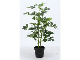 sf ϗtA htJmL 216 52693