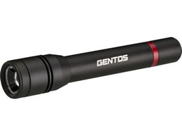 WFgX LEDCg REXEED 480lm RX-332D