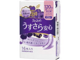 P&GWp EBXp[ 120cc ivL^APApbh 16 27cm