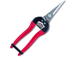 AXR[|[V EO XeX 300L-DX-BP