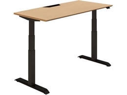 �R�N�� �f�X�N �V�[�N�G���X �����M�� ���o�[ W1450 �i�`�������I�[�N