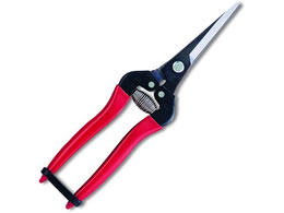 AXR[|[V EʃGNXgO 300LL-BP