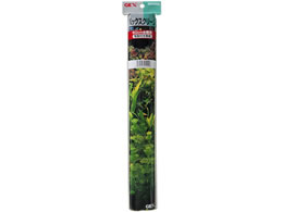 WFbNX J[obN 60cm G