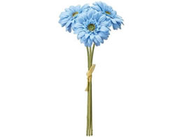 ������ ���� �\���C���K�[�x���o���h�� 3�{ #5 BLUE