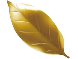 EBM 18-8 �t�}(�͂�)���� �� �S�[���h 3800100