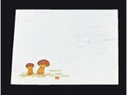 ���}�R�[ �_���~�� 4�� 100�� �܂���(64423) 9���`10��