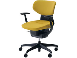 �R�N�� �C���O �N�b�V�����E���e���� �u���b�N�V�F�� �����r �I���[�u�C�G���[V