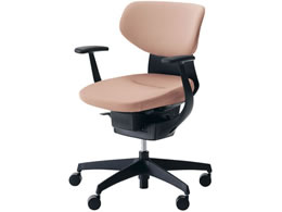 �R�N�� �C���O �N�b�V�����E���e���� �u���b�N�V�F�� �����r �A�b�V���s���NW