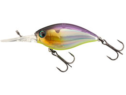 WbJ ubNbp[48SR #oo^NŃ[U[