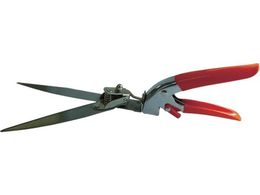 DAISHIN ]ŐXeX 701041