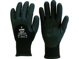 UVEX jCgT[vX M 6059268