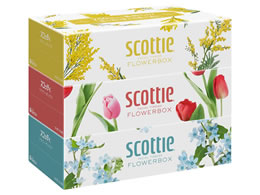 NVA XRbeB eBV[ t[{bNX 250g 3 41330