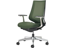 RN `FA fI2 A~r bV fB[vO[