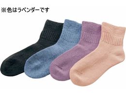 pVtBbNTvC ӂ\bNX M x_[